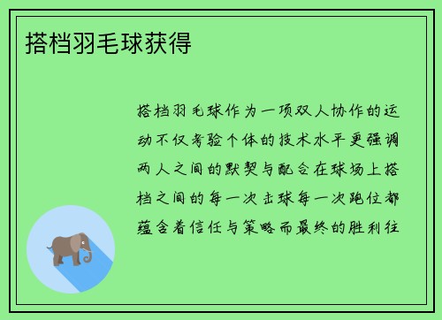 搭档羽毛球获得